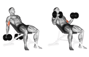 Вправи на біцепс: чи потрібні вони в Муай Тай?