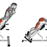 🦾 Вправи на спину в залі: зміцнення м'язів спини